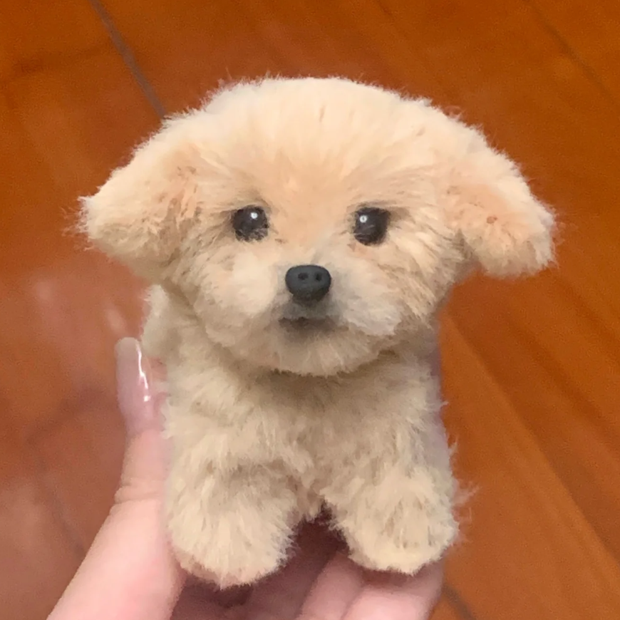 Why Pet Twist Plushies Are the Cutest Way to Celebrate Your Furry Friend