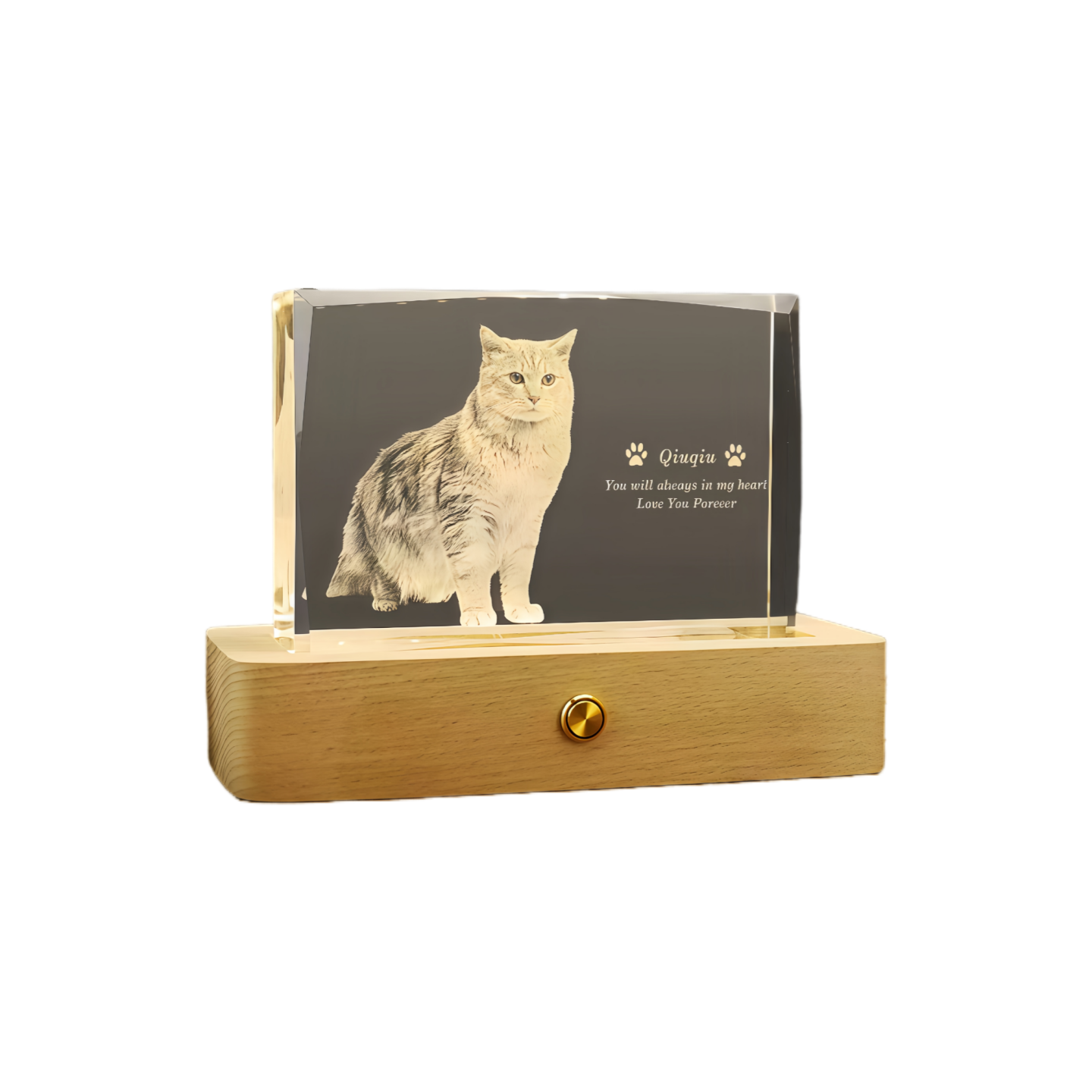 Eternal Pet Glow Monument