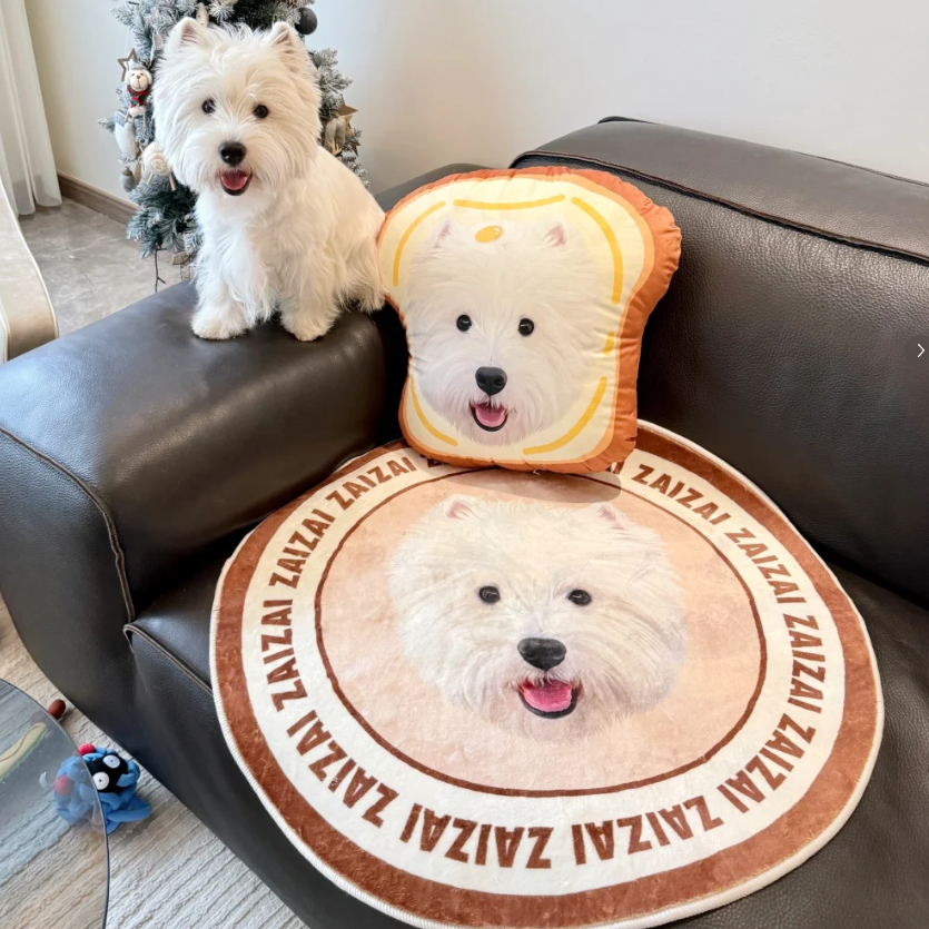Customized pet pillows