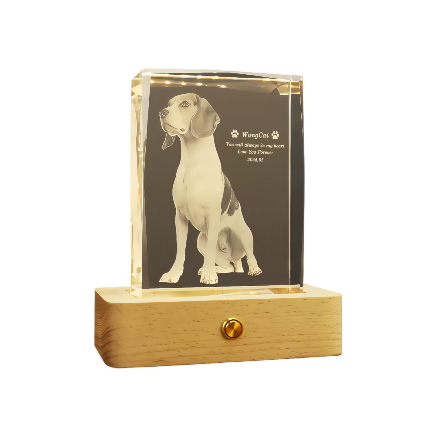 Eternal Pet Glow Monument