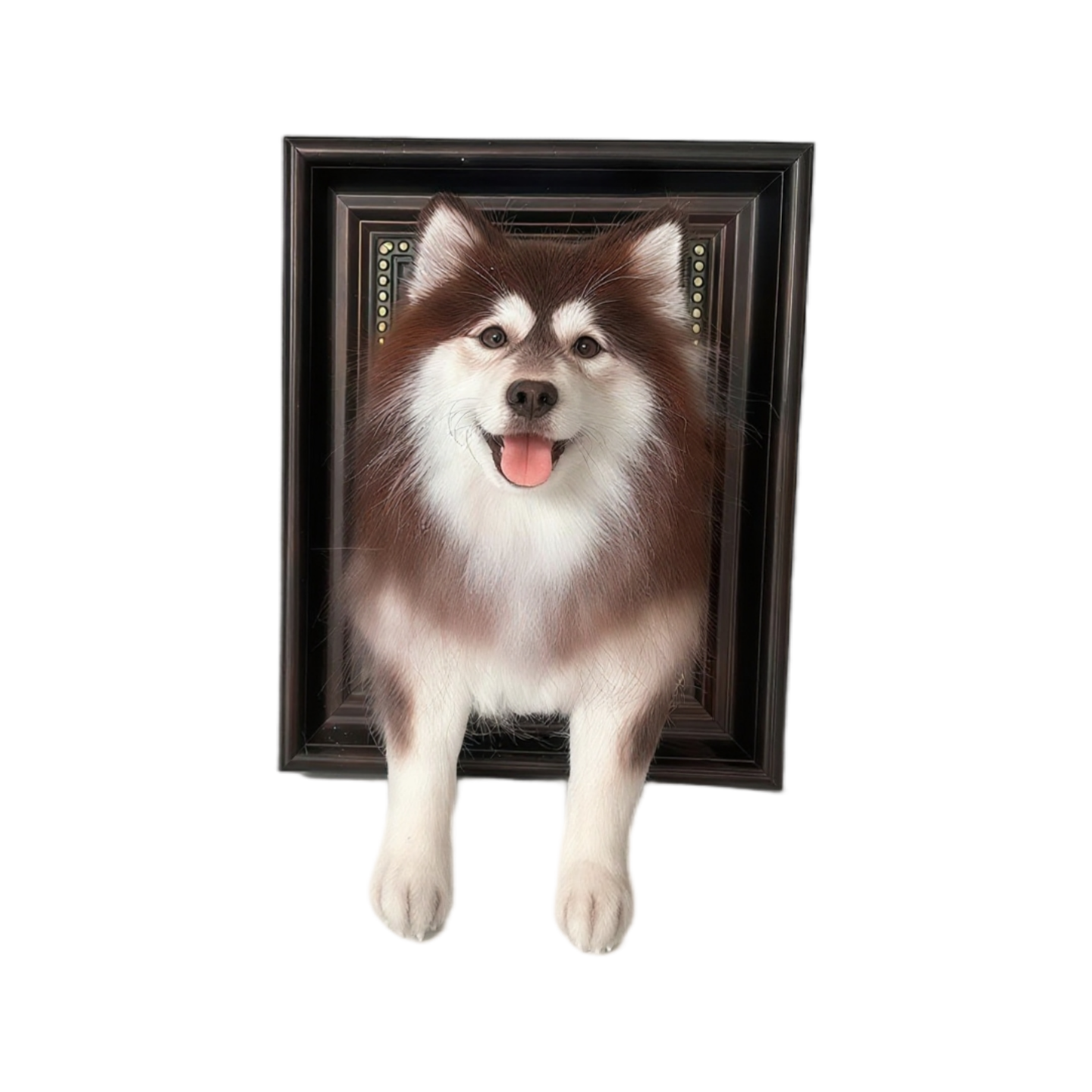 Custom Wool Felt Pet Portrait with Paws – Premium Framed 3D Sculpture